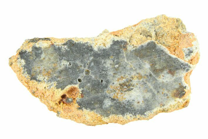 Lunar Meteorite ( g) Slice - Bechar #291699